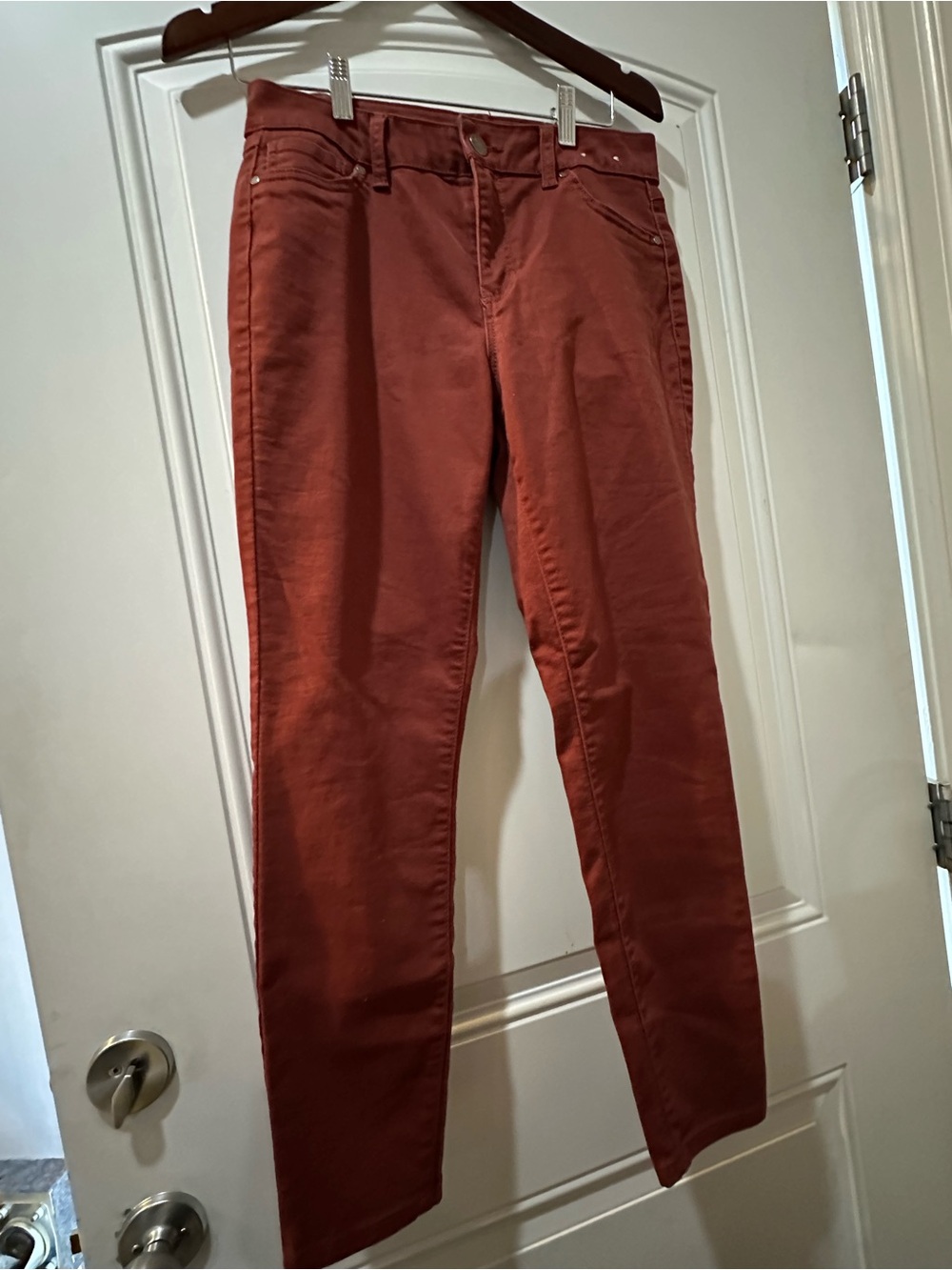 d. jeans Rust-Colored Skinny Pants
